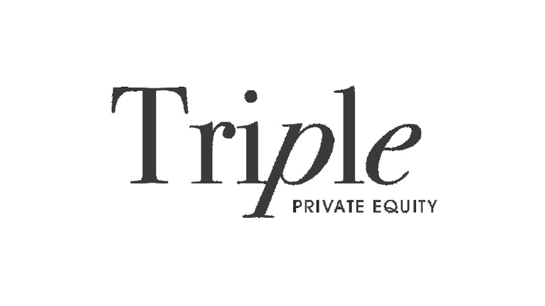 Triple Private Equity acquires data firms