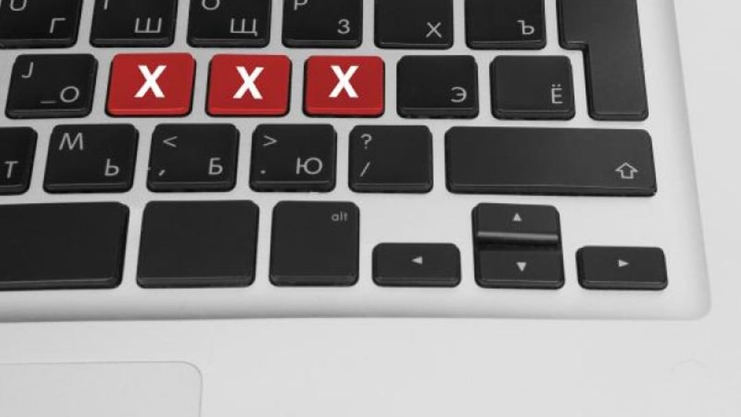 Judges sacked after viewing porn on judicial IT equipment