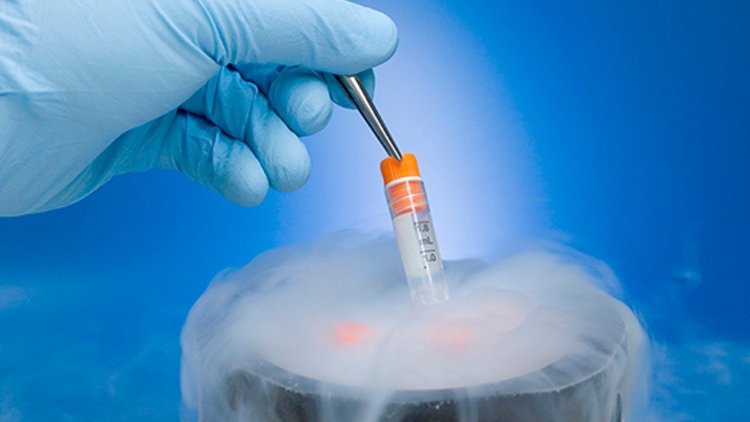 Firms providing financial assistance to freeze embryos to delay having a baby