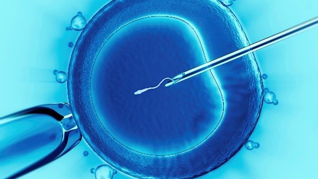Fertility treatment legal safeguards