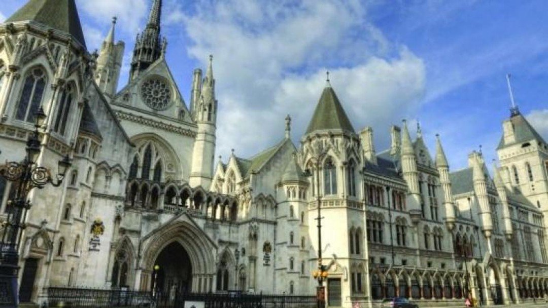 Judicial review curbs could 'eradicate' interventions