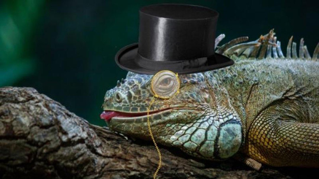 Lizard Squad lawyer: Tech giants are guilty for cybercrime, not my hacker client