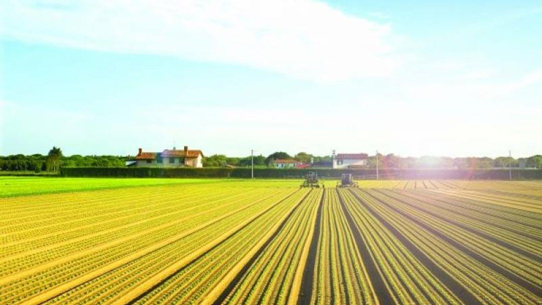 Drawing lines in the farmland