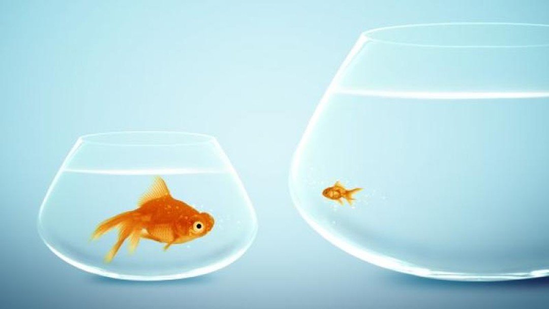 Personal injury practices: small fish in a big pond