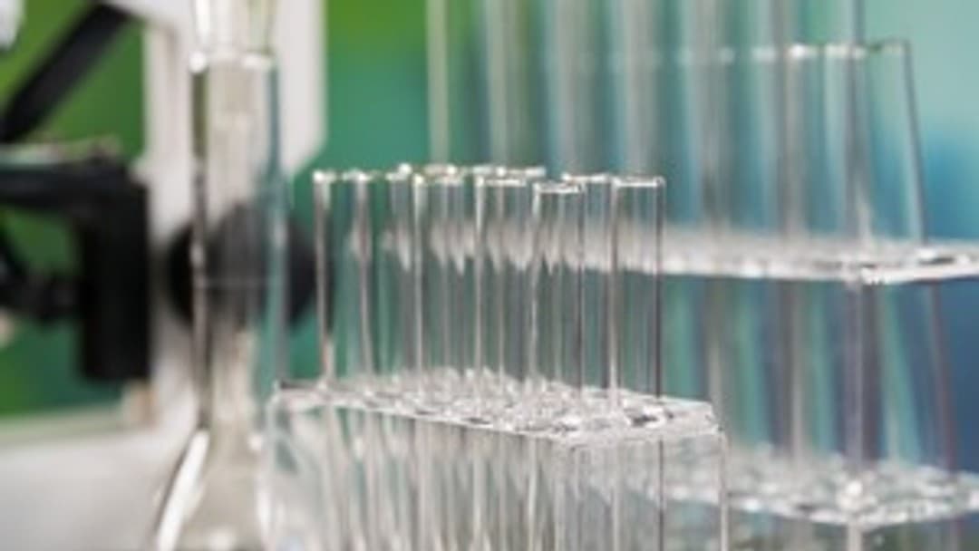 UK Government advances Veterinary Medicines Regulations to foster innovation and combat antimicrobial resistance