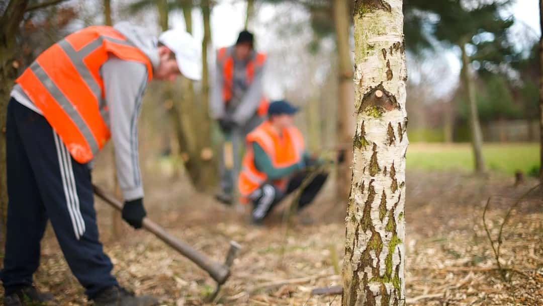 Community Sentence Treatment impact study