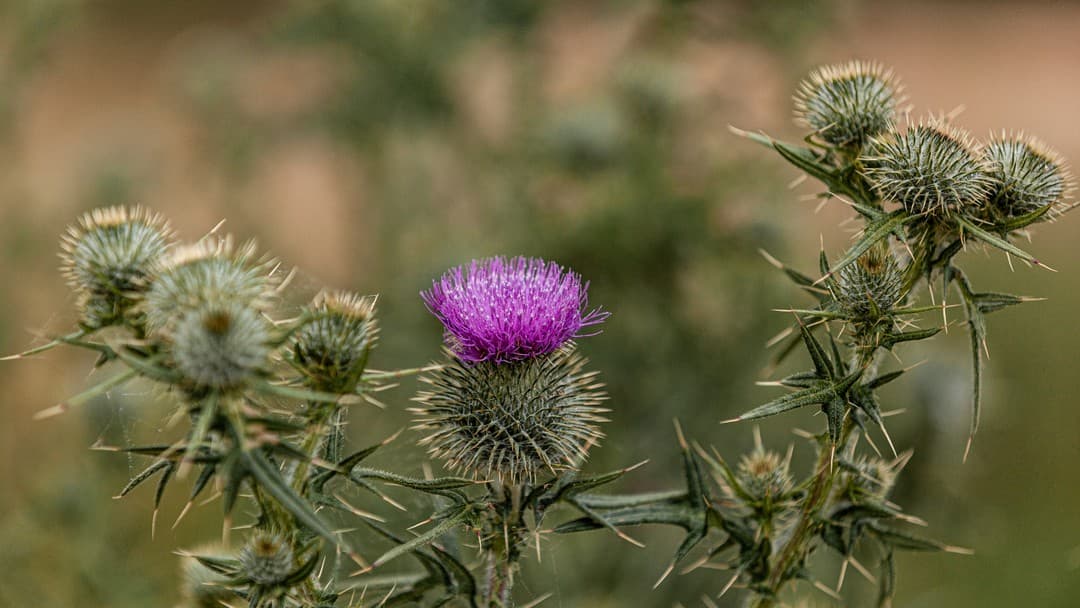 Legal aid crisis demands action