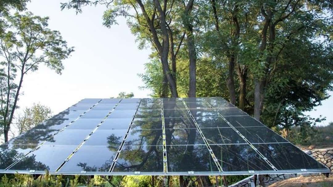 Freeths unveils ambitious 2040 net zero plan