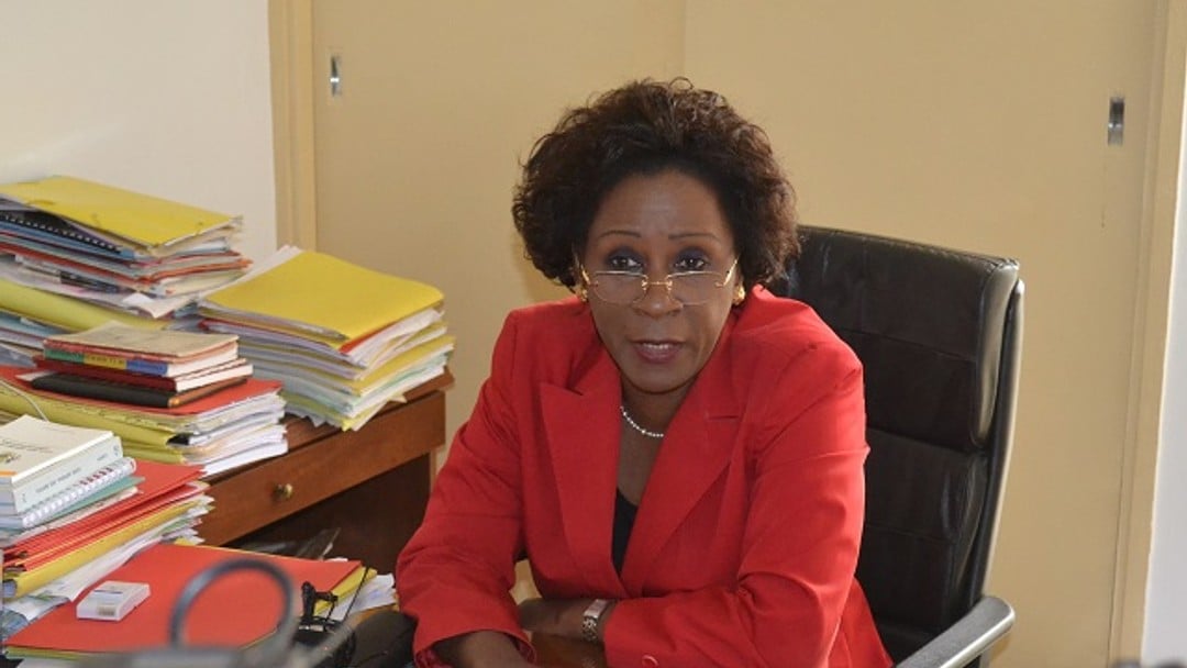 Lawyer facing danger in Libreville