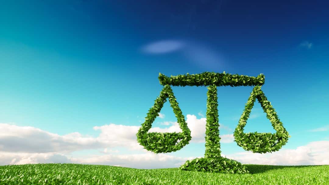 Ecocide: the next wave of legal actions?