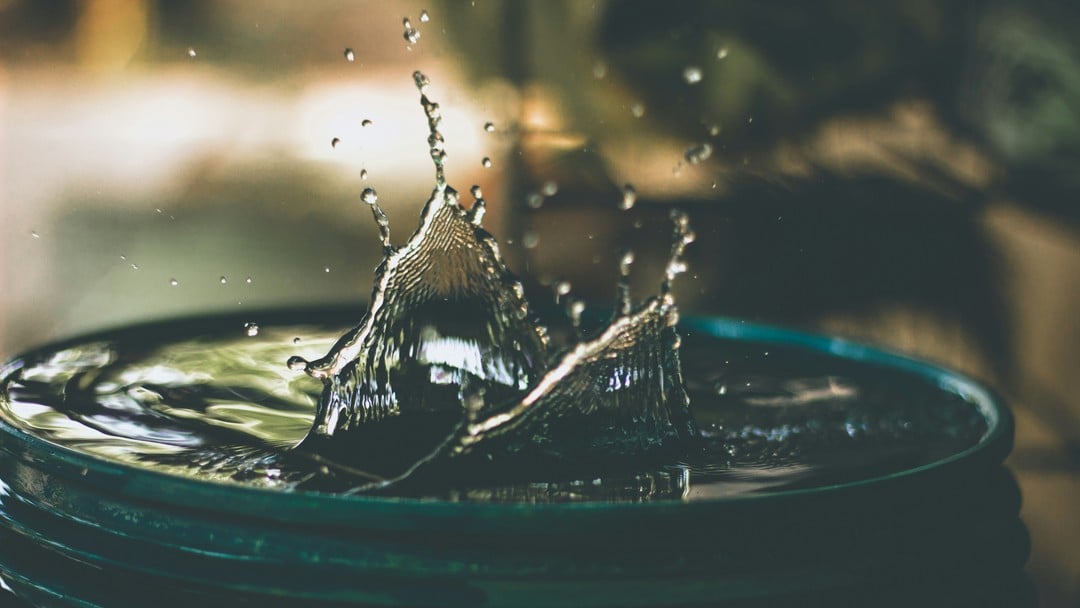 Why judicial review is crucial to address the failures in the SESRO approval process