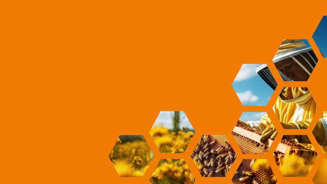 Browne Jacobson supports Apiary Capital investment