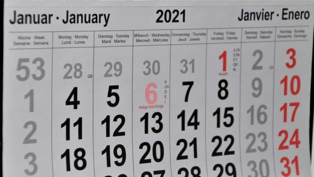 IPO officially launches digital renewals service