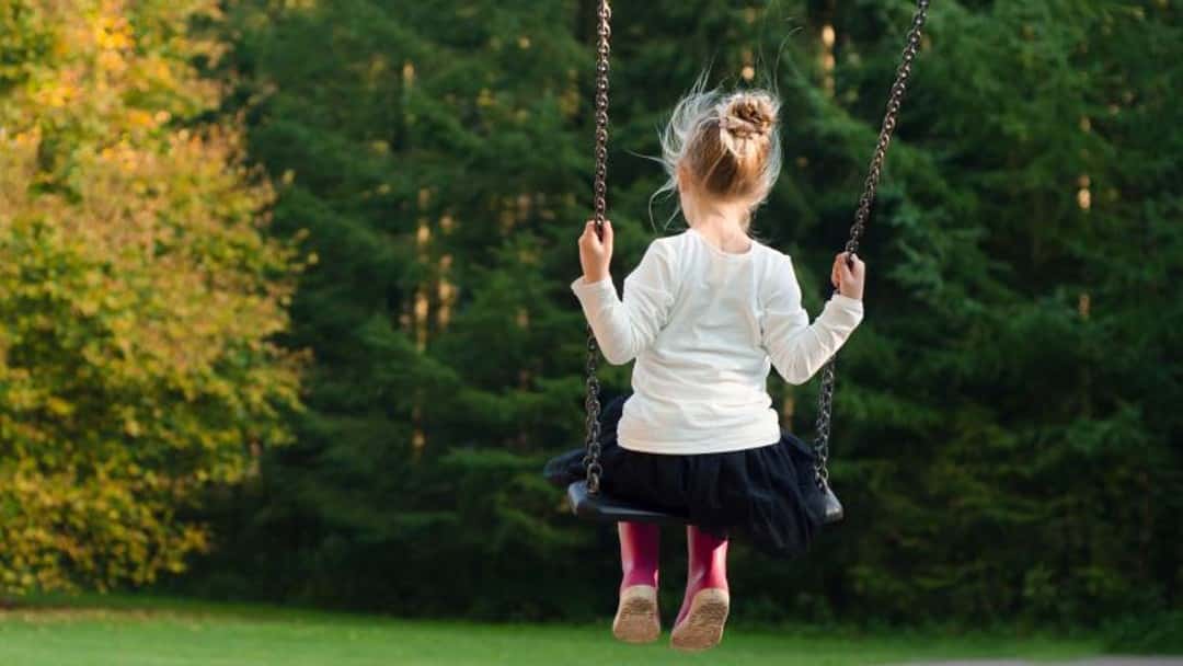 Family lawyers voice concerns over domestic violence review