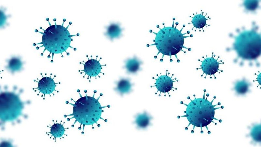 Increased risk of lockdown wills disputes