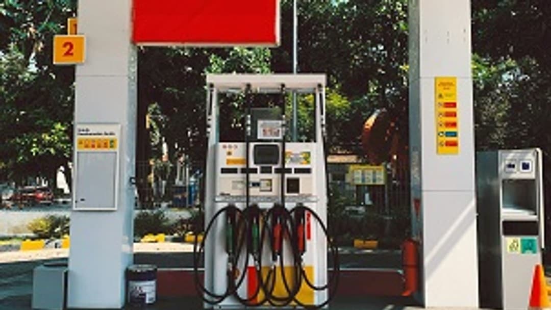 Campaign groups join Dieselgate legal fight