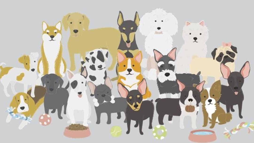 Animal cruelty sentencing guidelines