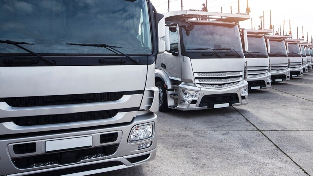 UK hauliers urged to register for compensation by 14 February
