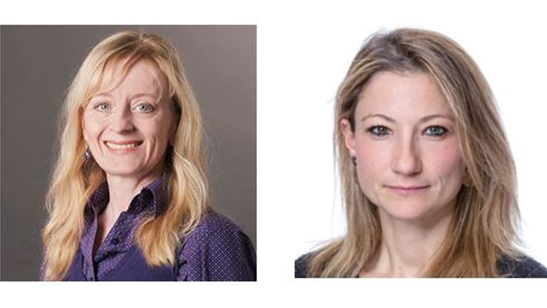 Newly appointed commissioners lead Law Commission