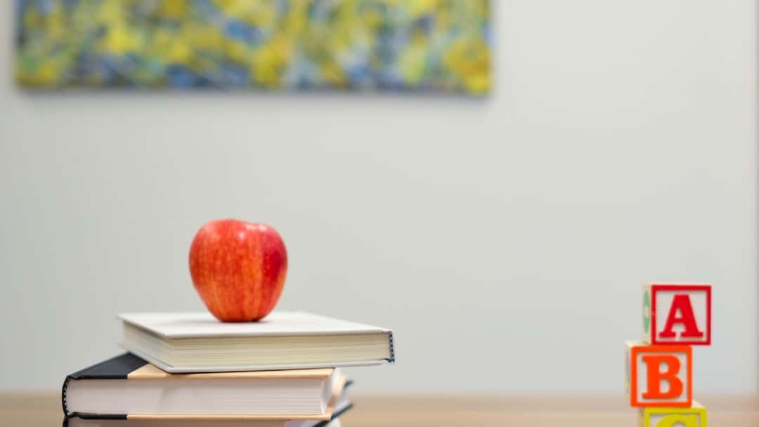 Back to school: navigating co-parenting disputes