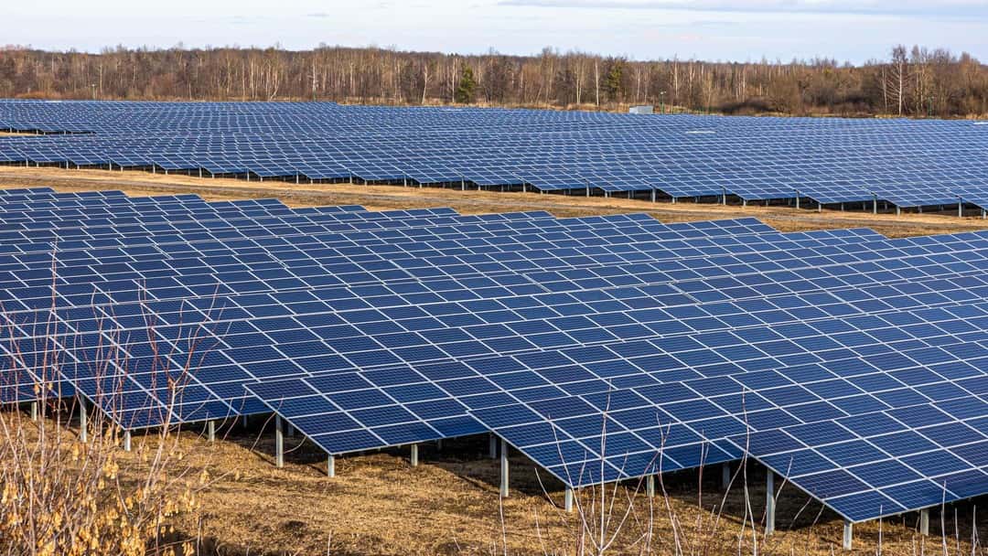 Legal ruling on Longhedge solar farm
